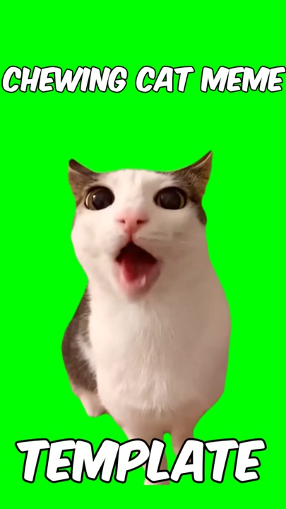 Mengunyah meme kucing 