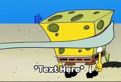 Sponge bob meme