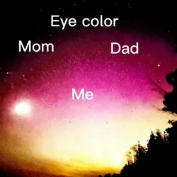 Wee