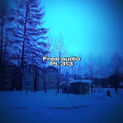 Free Audio Pt. 313