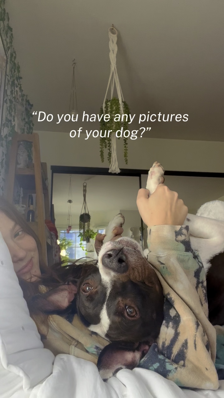 Dog Collage