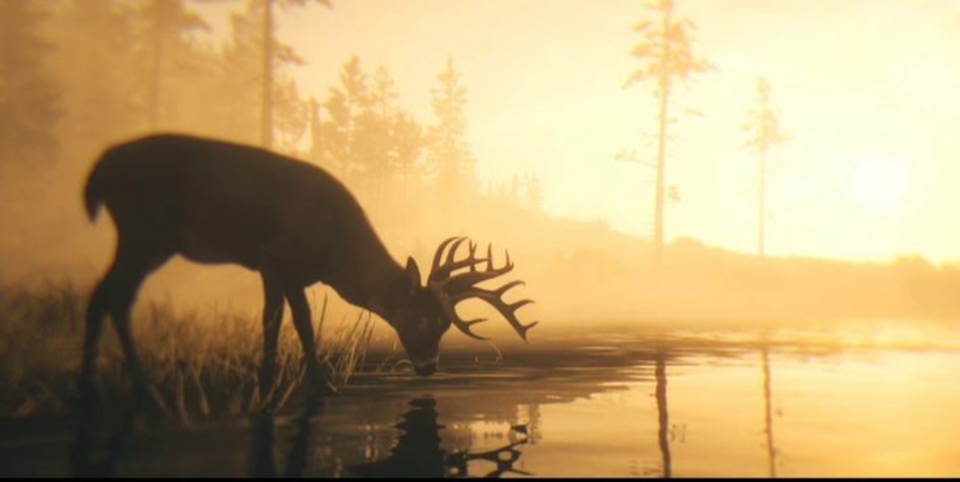 Arthur Morgan