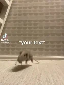 π