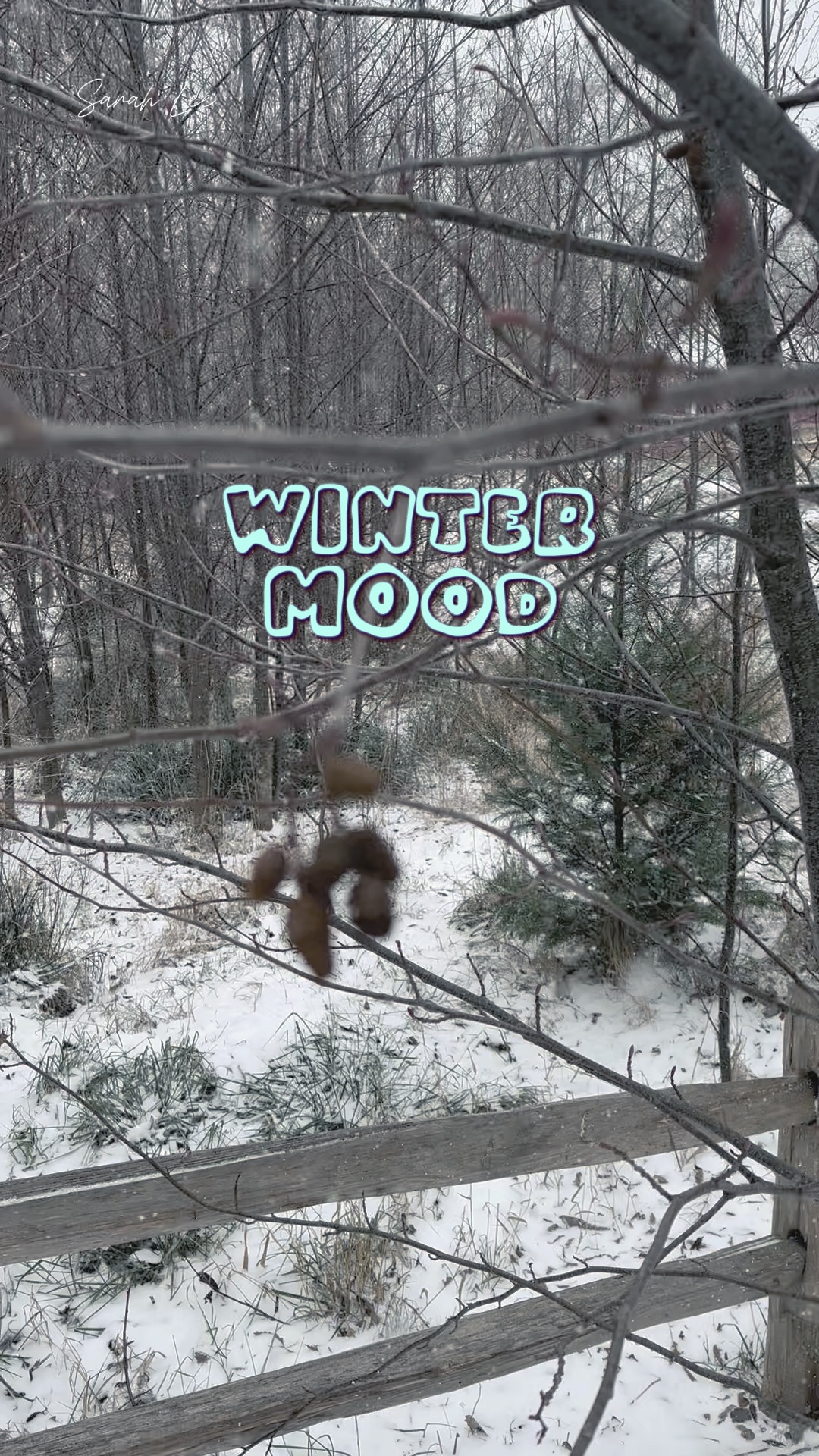 Clima de inverno 