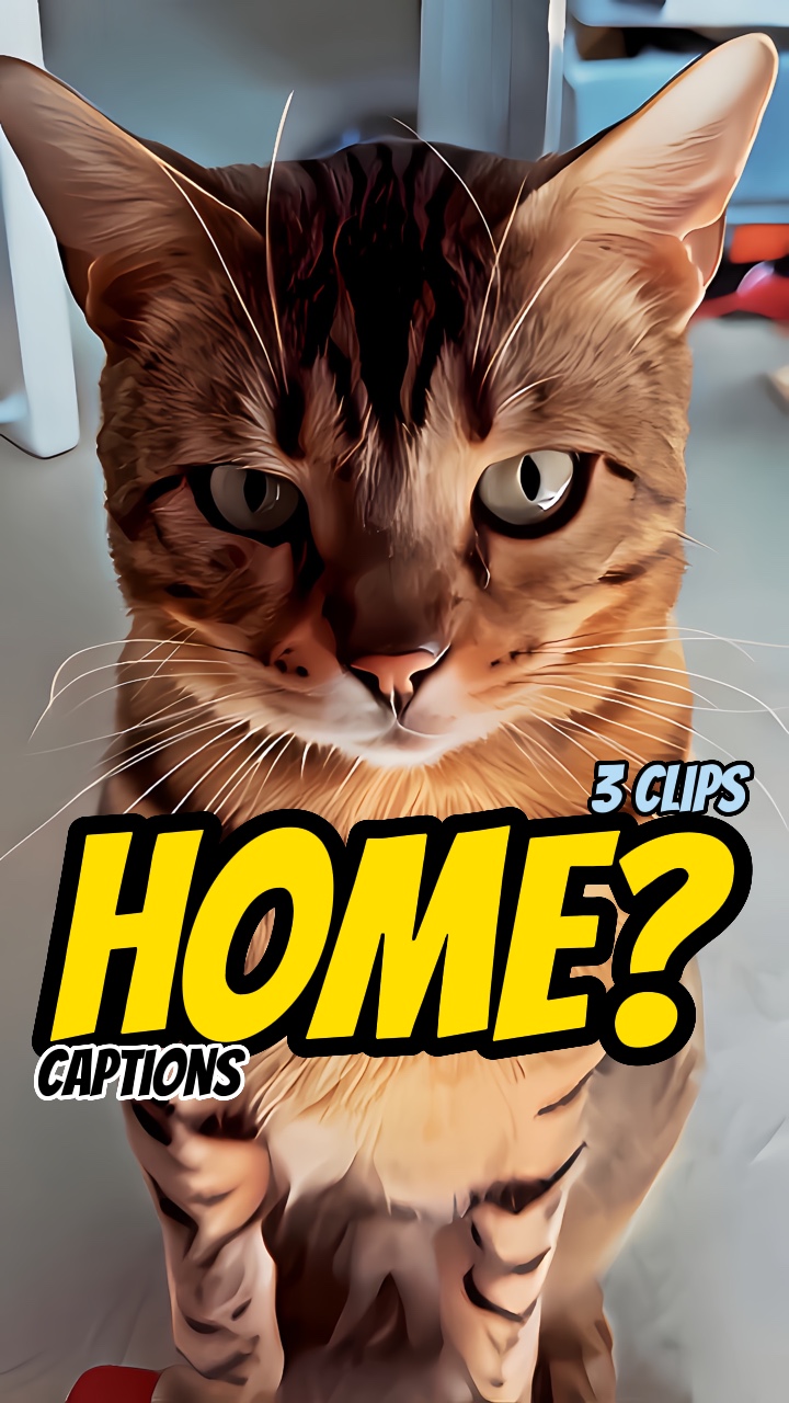 What is home? 