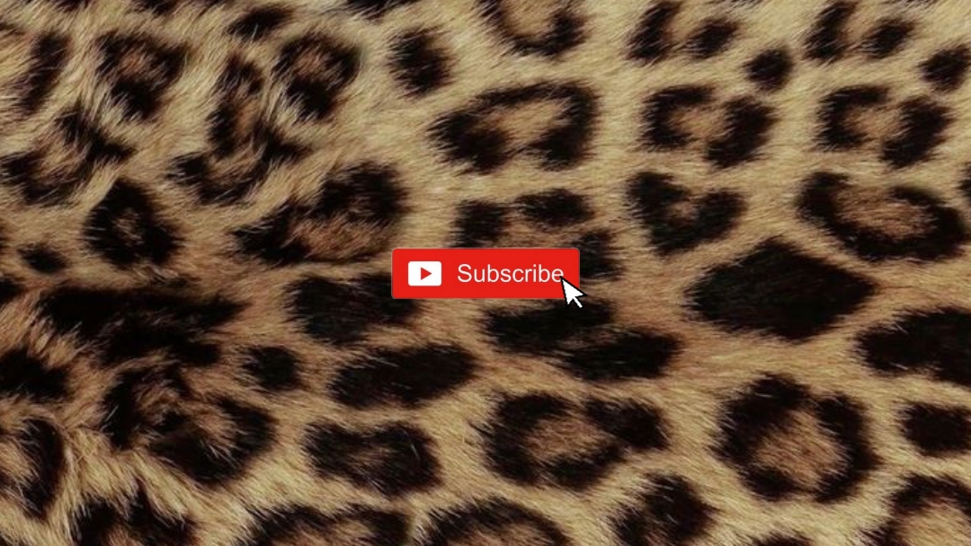 Youtube intro 