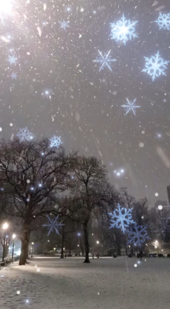 Nieve 