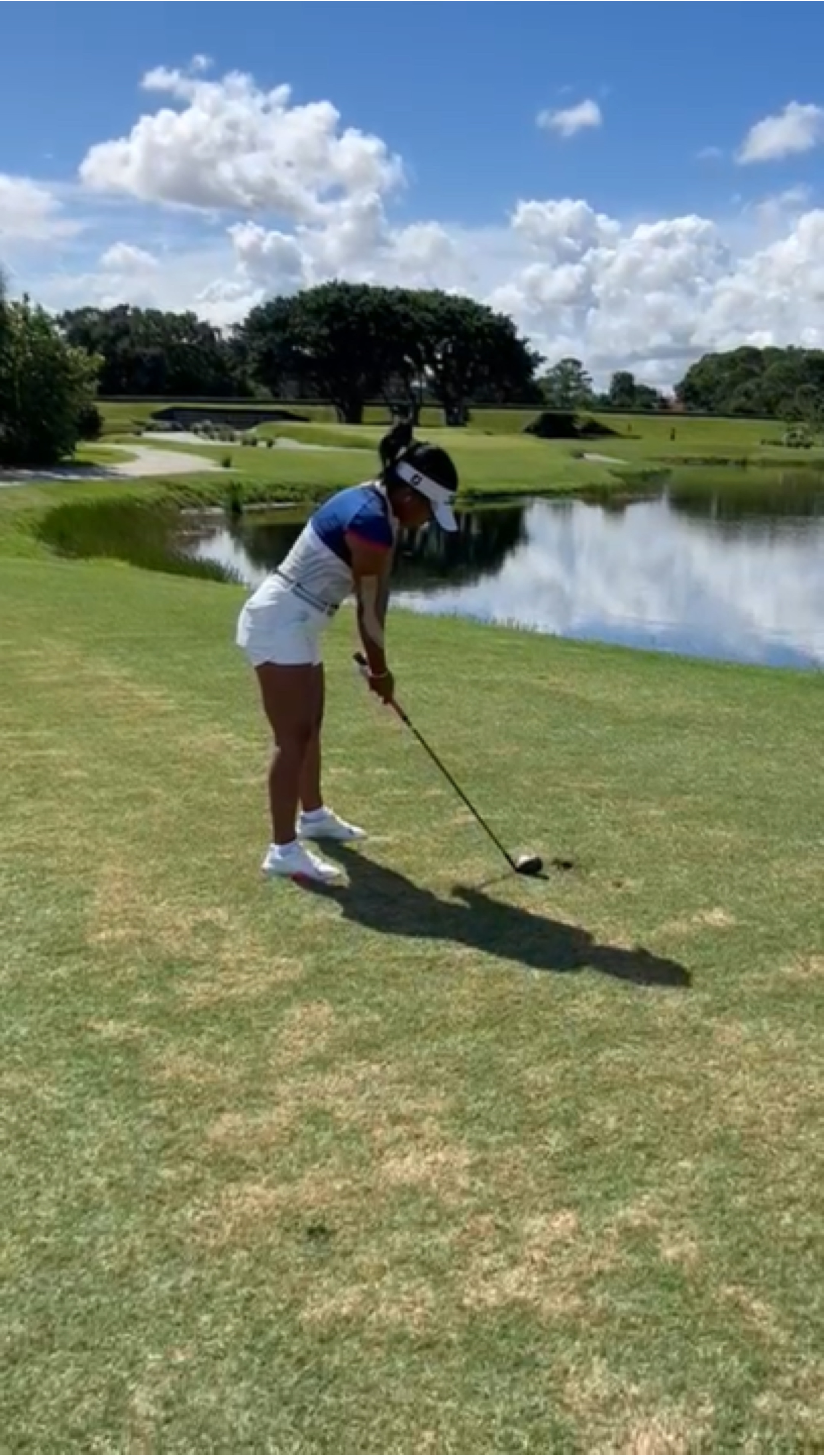 Golfer 🏌️‍♀️ 