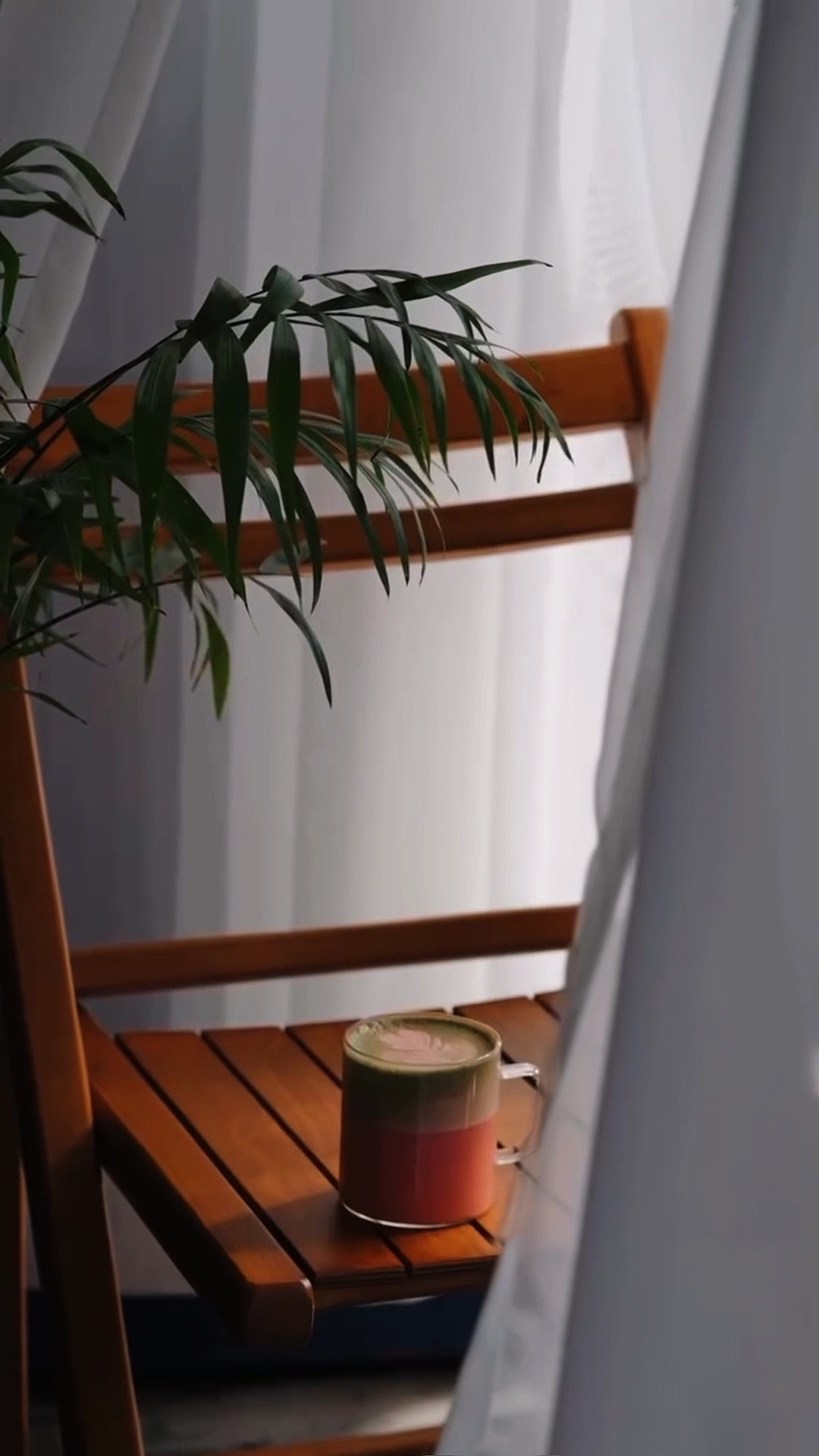 CAFÉ - NUEVO🌓