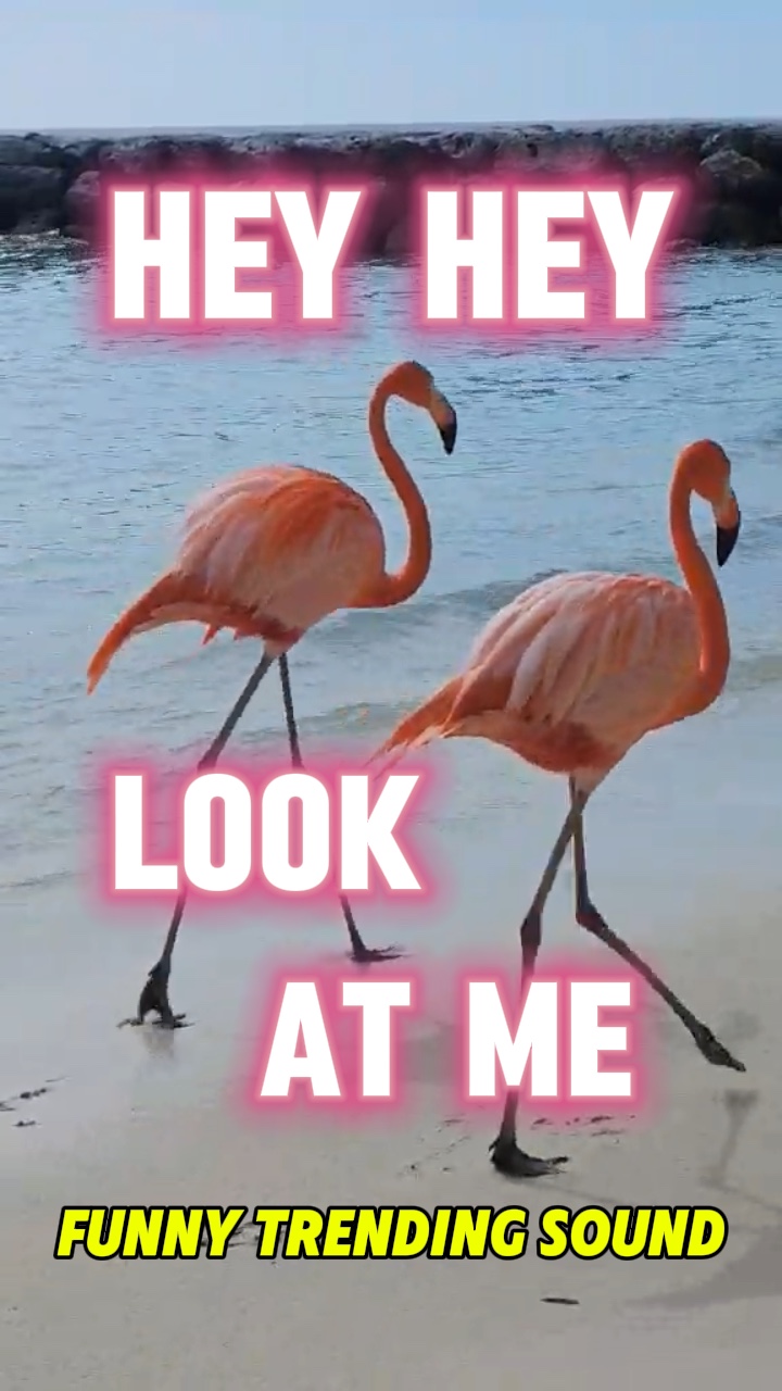 KOMİK / Hey Bana Bak