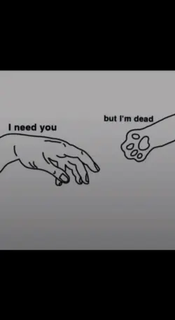 I will miss you