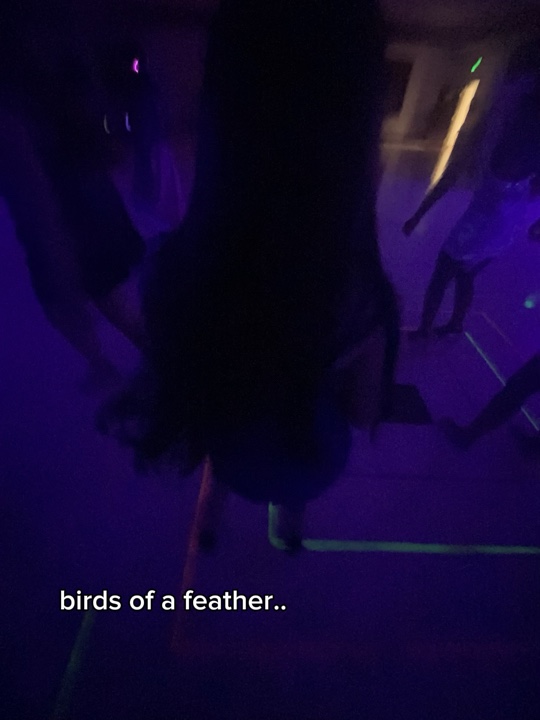 birds of a feather