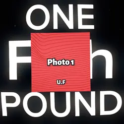 One pound fish ๐ฅ