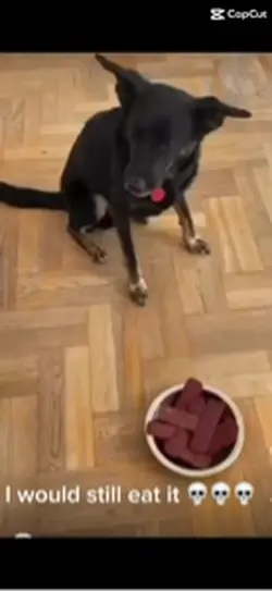 I would still eat 🤣