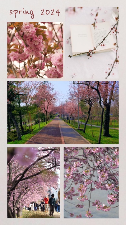 Primavera 2024 🌸