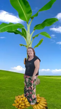 foto fruta