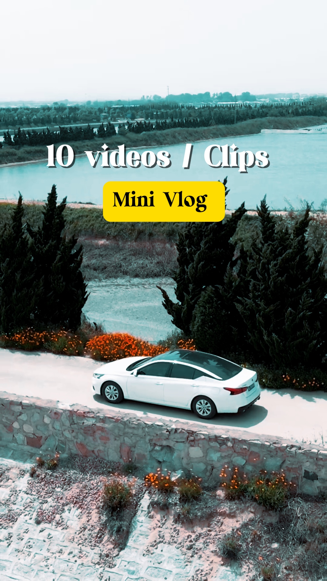 10 Videos / Clips