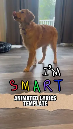 Pets / Dog / SMART