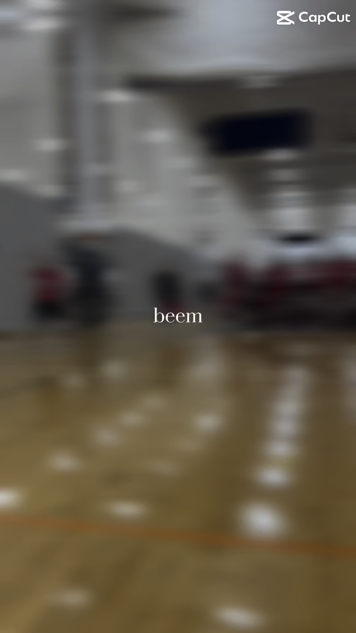 Voleibol