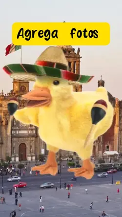 Septiembre 🇲🇽