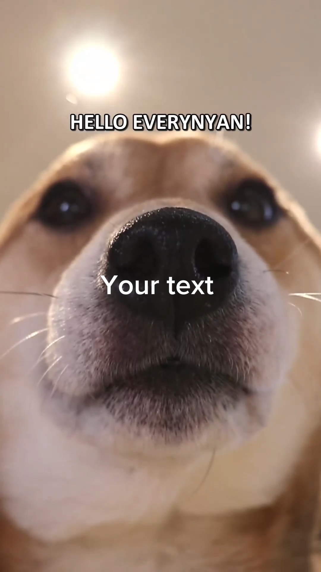 Hello everyone 