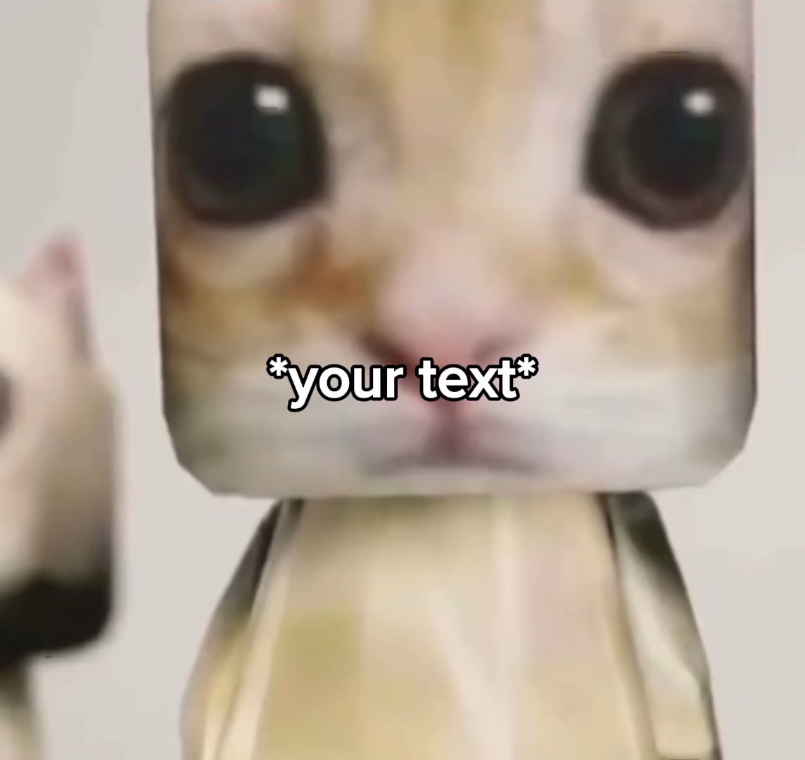 Gatos dançantes