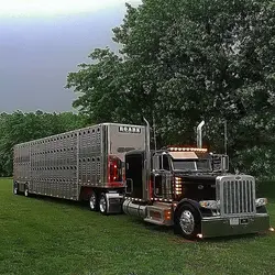 Semi-trucks 