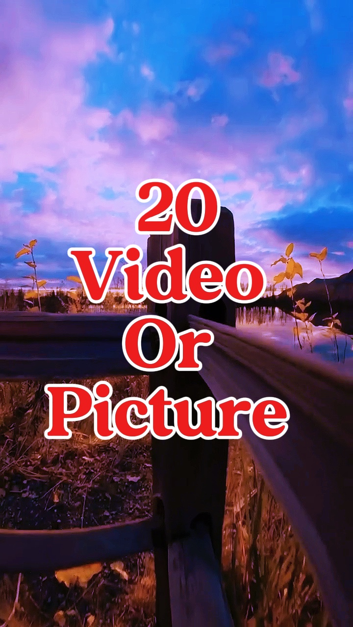 20 video or picture 