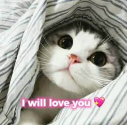 I will love you 