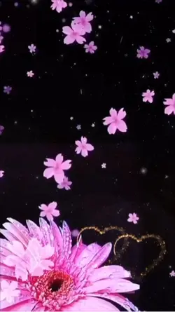 🌸ESTARÉ CONTIGO 🎀