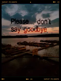 don't say goodbye