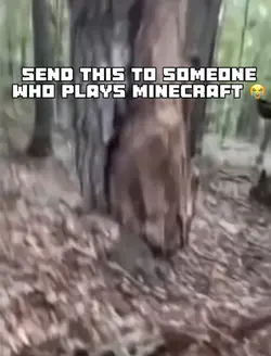 Floating Tree 😭