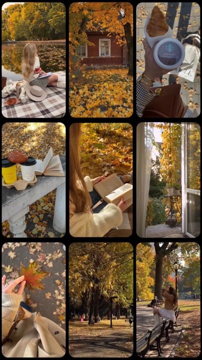 Autumn dump