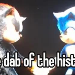 Sonic and Shadow