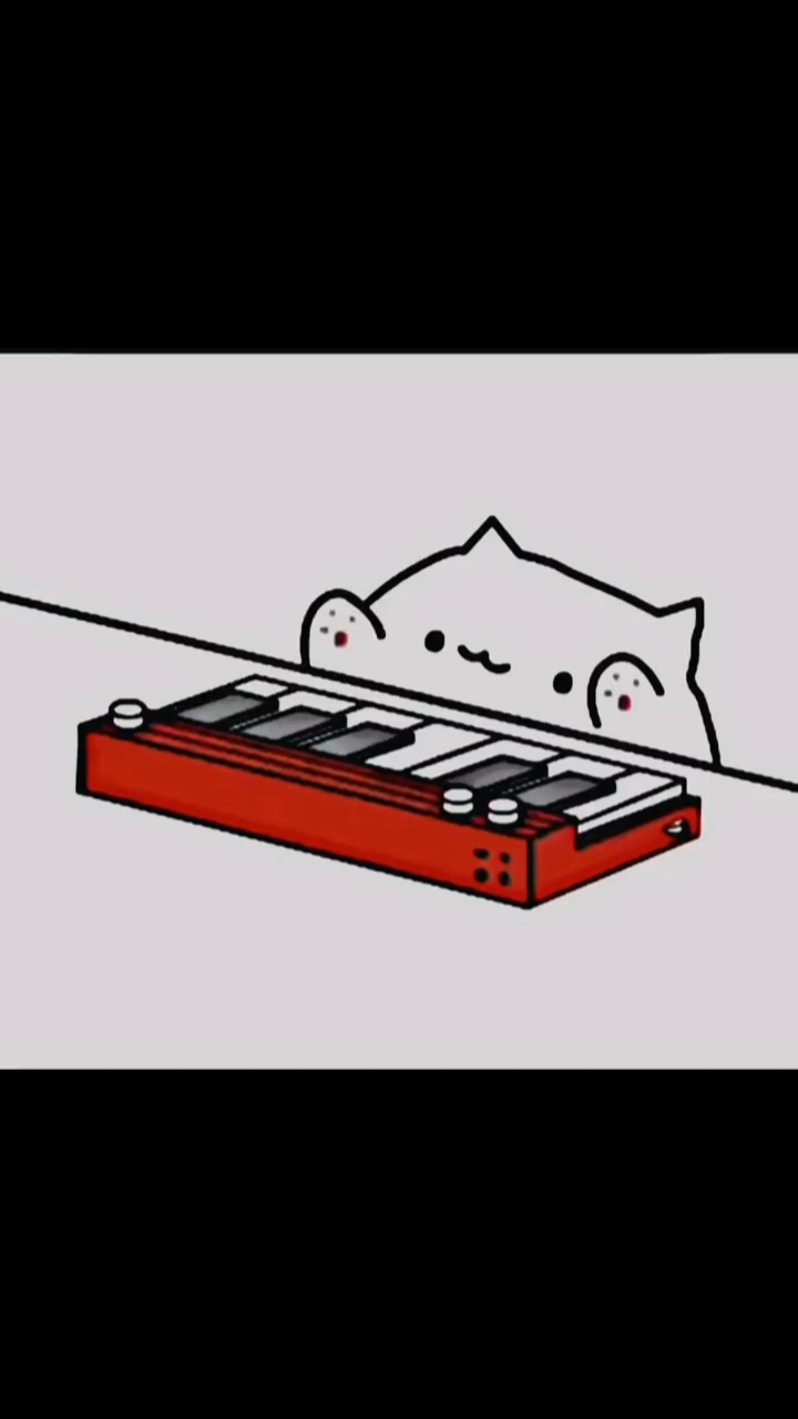피아노 고양이 편집