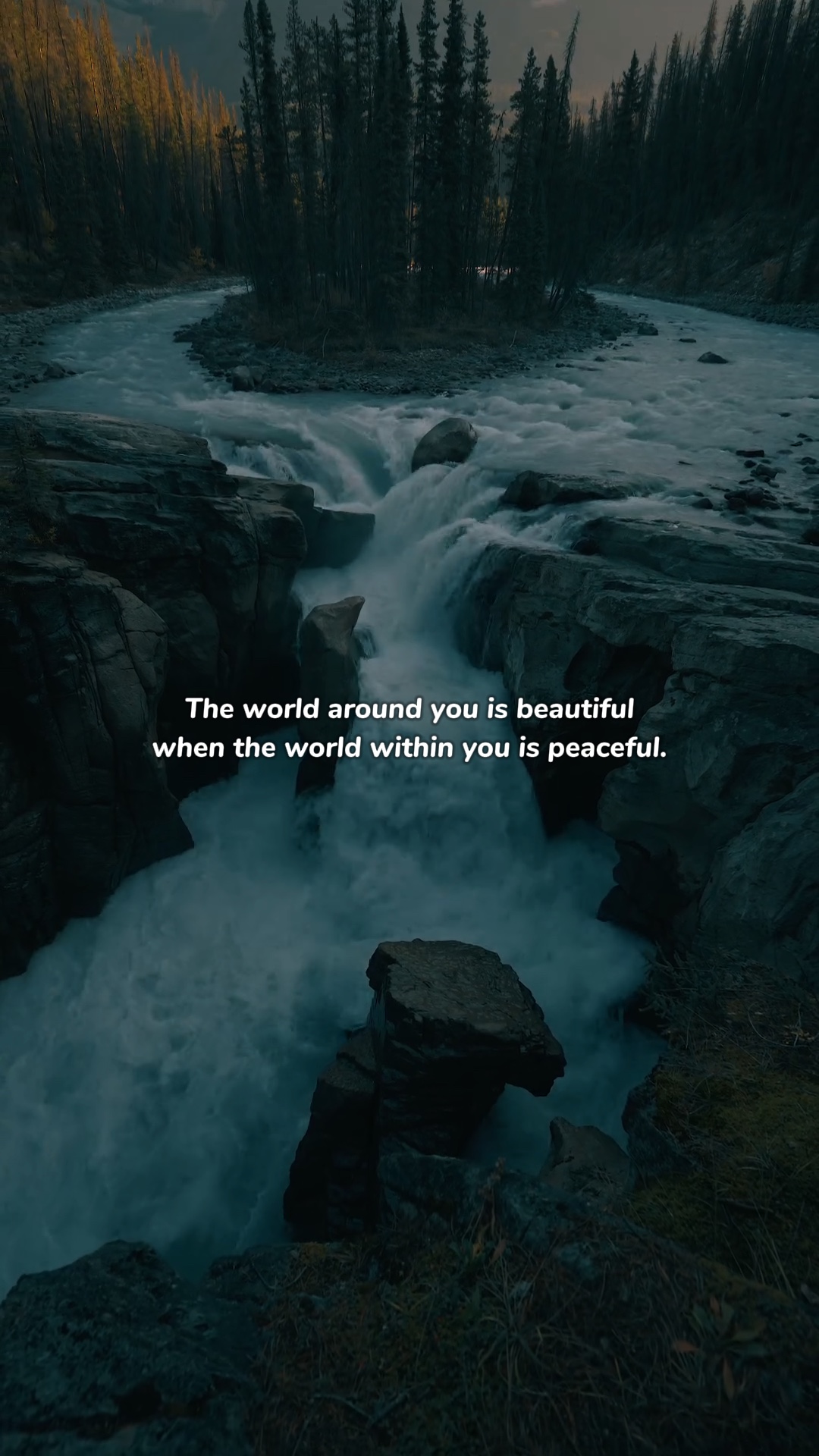 Perspective Beauty