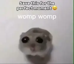 Womp Womp