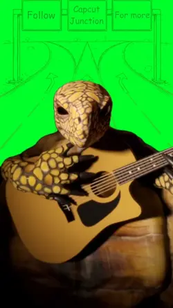 Turt Cobain 