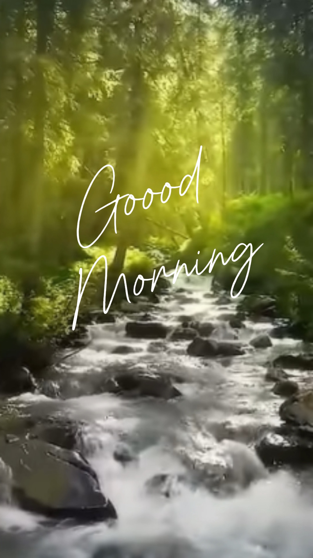 Good Mornin