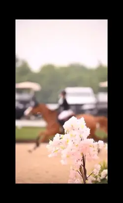 horse jumping ๐บ
