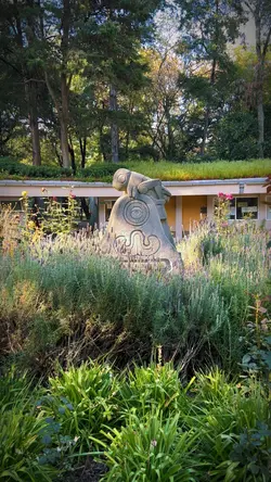 Jardín Botánico 🪴