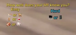Quiz your bff