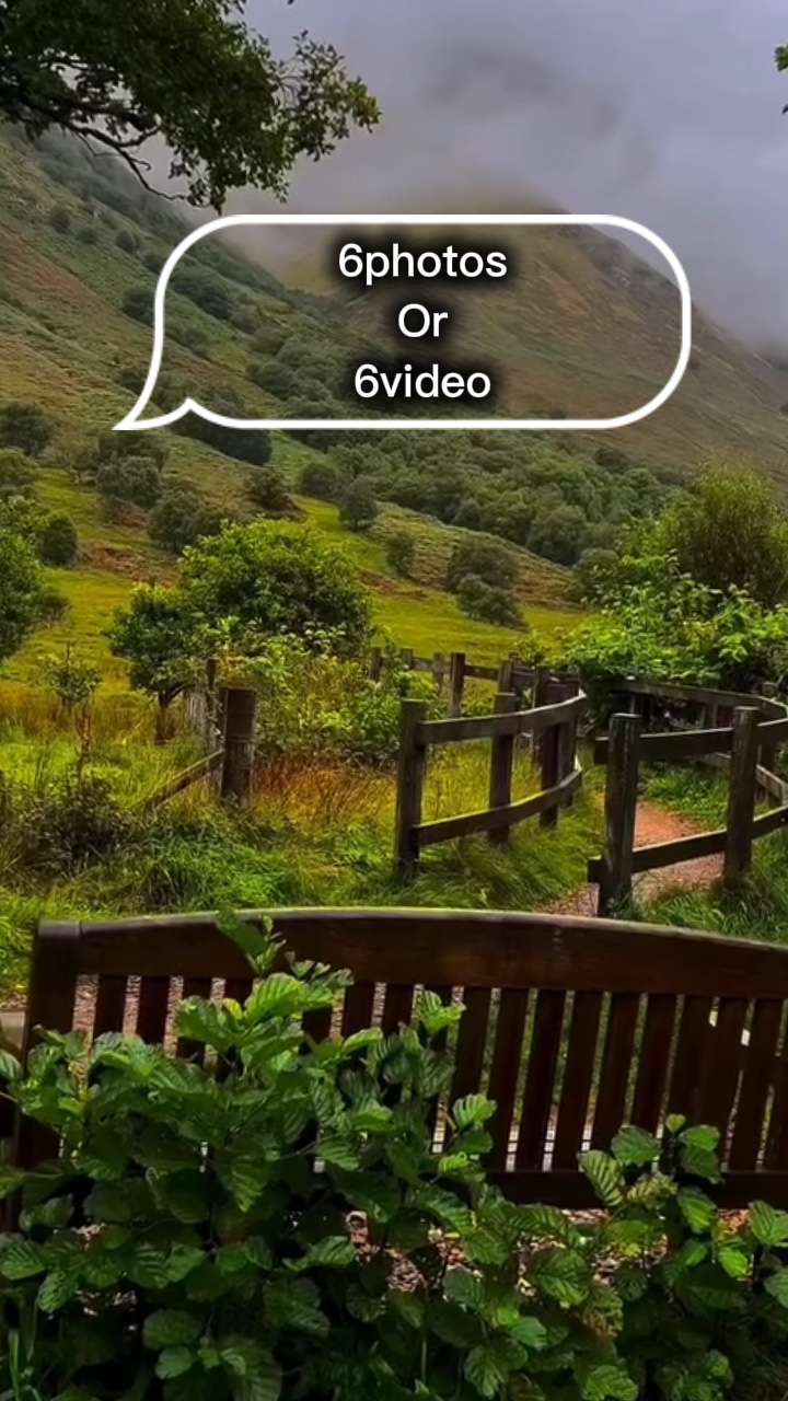 6photos /6videos