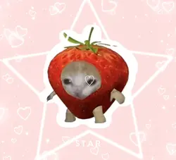 Cute cat edit! ๐