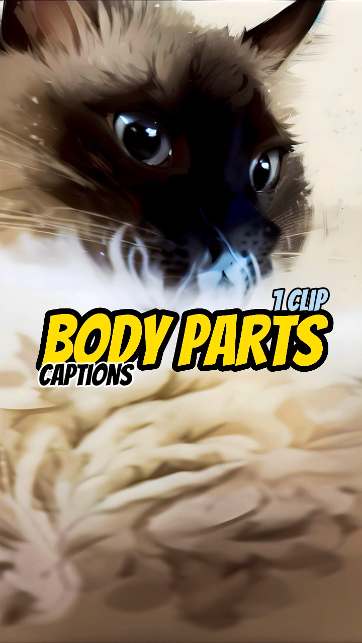 Mes parties du corps!  😺