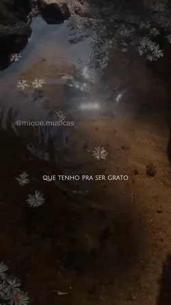 vídeo 