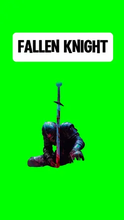 FALLEN KNIGHT