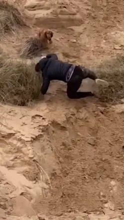 Rolling Sand Edit 