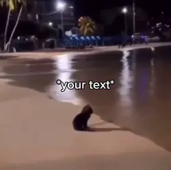 Sad cat