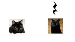 musical humor
